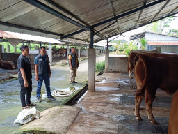 Polres Ngawi Pastikan Hewan Kurban Sehat dan Layak Jelang Idul Adha 2026