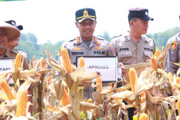 Panen Raya Jagung Serentak Kuartal II 2026, Polres Ngawi Dukung Ketahanan Pangan Nasional Bersama Presiden RI