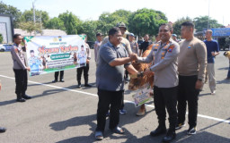 Polres Tuban Salurkan 42 Hewan Kurban pada Iduladha 1447 H, Wujud Kepedulian dan Pengabdian untuk Masyarakat